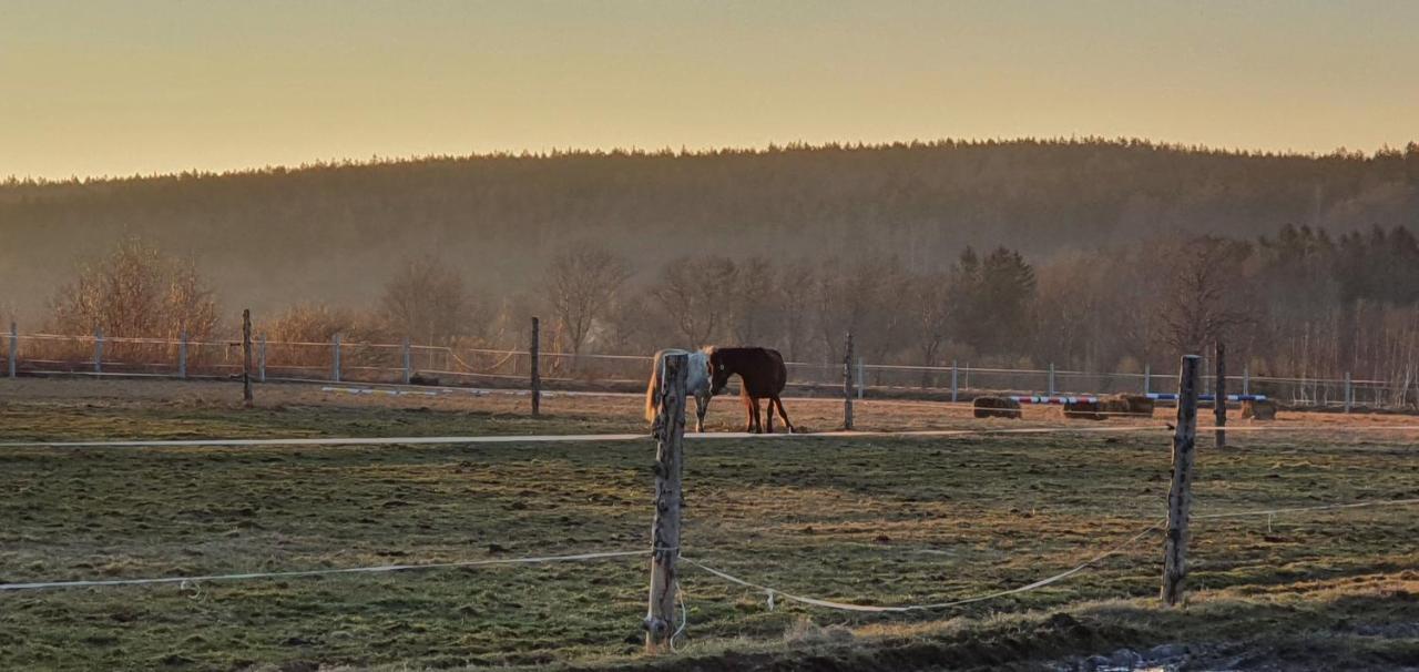 Apartizer Swieradow Zdroj Pobiedna Esterno foto