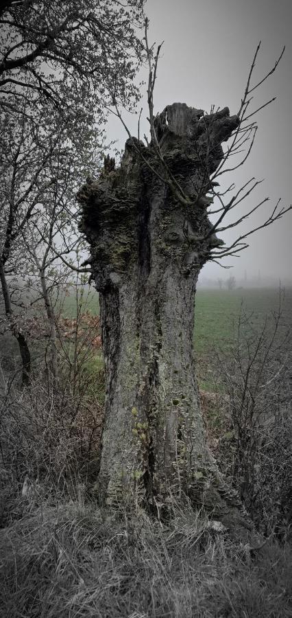 Apartizer Swieradow Zdroj Pobiedna Esterno foto