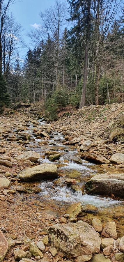 Apartizer Swieradow Zdroj Pobiedna Esterno foto