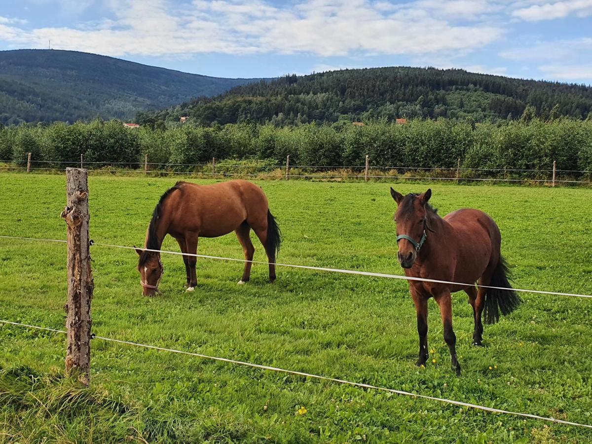 Apartizer Swieradow Zdroj Pobiedna Esterno foto